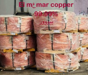 WhatsApp Image 2026 04 11 at 12 56 22 AM 2 300x258